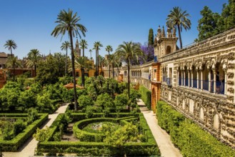 Alcázar Gardens, Seville, Seville, Andalucia, Spain