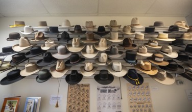 Elko, Nevada - Cowboy hats on display at the Cowboy Arts & Gear Museum