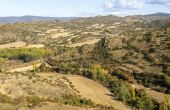 Countryside landscape view east to the Pyrenees Mountains, Sos del Rey Catolico, Cinco Villas