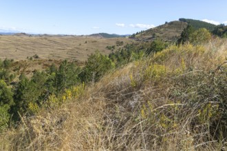 Countryside landscape view from Puerto de Sos hills south of Sos del Rey Catolico, Cinco Villas
