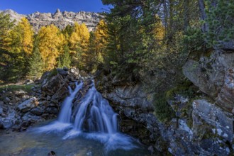 Waterfall, river, larch forest, autumn color, autumn, mountains, morning light, Morteratsch Valley,