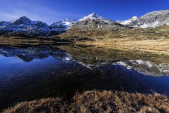 Mountains reflected in lake, morning light, autumn, sunny, Bernina Pass, Engadin, Switzerland