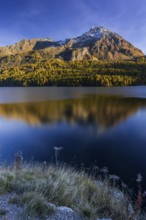 Mountains are reflected in lake, evening light, larch, autumn, autumn color, Lake Sils, Engadin,
