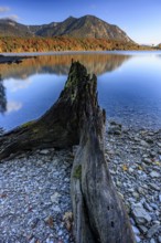Mountain lake, reflection, morning light, mountains, shore, root, autumn, autumn discoloration,