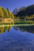 Mountain lake, reflection, mountains, larch forest, autumn discoloration, autumn, sunny, Lake