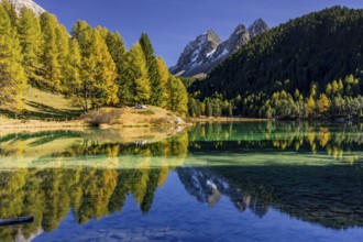 Mountain lake, reflection, mountains, larch forest, autumn discoloration, autumn, sunny, Lake
