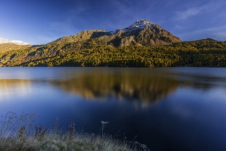 Mountains are reflected in lake, evening light, larch, autumn, autumn color, Lake Sils, Engadin,