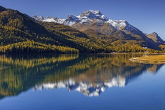 Mountain lake, reflection, mountains, larch forest, autumn discoloration, autumn, sunny,