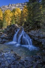 Waterfall, river, larch forest, autumn color, autumn, mountains, morning light, Morteratsch Valley,