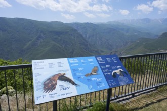 An observation deck with information boards about eagles shows a view of a mountainous landscape