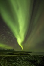 Northern Lights, Aurora Borealis, Arnastapi, Iceland