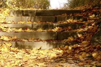 Natural stone staircase with autumn leaves, Germany