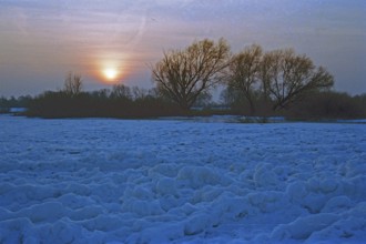 Frozen Elbe, trees, sunset, Bleckede, Lower Saxony, Germany, February 9, 1996, vintage, retro, old,