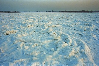 Frozen Elbe, Bleckede, Lower Saxony, Germany, February 9, 1996, vintage, retro, old, historic
