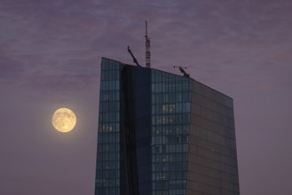 The full moon passes by the European Central Bank (ECB) in Frankfurt am Main in the evening,