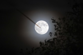 An airplane flies by in front of the full moon, Frankfurt, Hesse, Germany