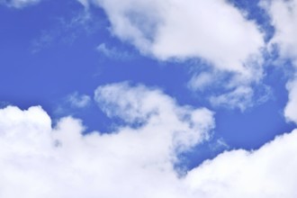Blue sky with white fluffy clouds