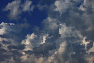 Dramatic cloudy sky with cumulus clouds, Upper Austria, Austria