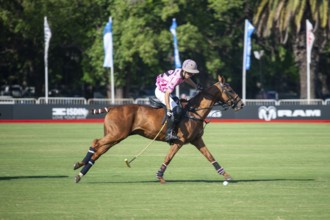Scene at the 132nd Argentinean Open Polo Championship (Spanish Campeonato Argentino Abierto de