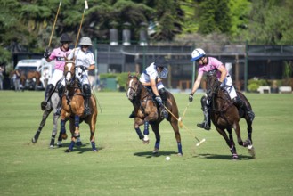 Scene at the 132nd Argentinean Open Polo Championship (Spanish Campeonato Argentino Abierto de