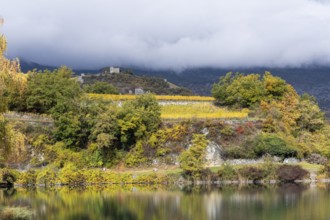 Terraced grape vineyards, steps up the hill in autumn colours in the Rhone Valley. Castle of Sierre