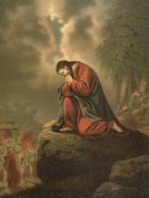 Biblical scene, Bible, Gethsemane, scene of the Passion story of Jesus on the western slope of the