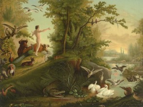 Biblical scene, Bible, Adam in paradise, illustration, reproduction from a 19th century model.