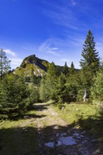 Hiking trail on the Genneralm with Holzeck, Postalm, Osterhorn Group, Salzkammergut, Province of