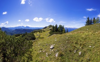 Hiking trail to Egelseehörndl, Postalm, Osterhorn Group, Salzkammergut, Province of Salzburg,