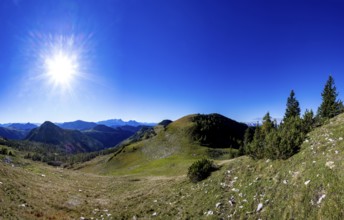 View from Rossfeld to Großer Radl, Postalm, Osterhorn Group, Salzkammergut, Province of Salzburg,