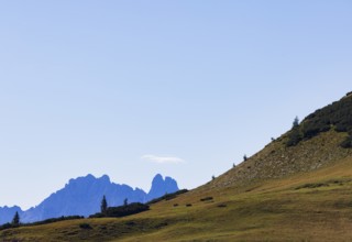 Blick vom Rossfeld zur Bischofsmütze, Dachstein Massif, Postalm, Osterhorn Group, Salzkammergut,