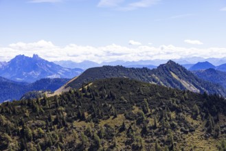 View from Hoher Zinken with Großes Radl Egelseehörndl and Dachstein, Postalm, Osterhorn Group,