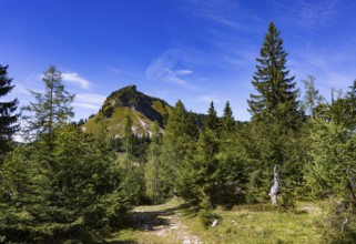 Hiking trail on the Genneralm with Holzeck, Postalm, Osterhorn Group, Salzkammergut, Province of
