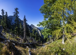 Mountain landscape on the way to Rettenkogel, Strobl, Postalm, Osterhorn Group, Salzkammergut,