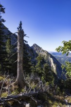 Mountain landscape on the way to Rettenkogel, Strobl, Postalm, Osterhorn Group, Salzkammergut,
