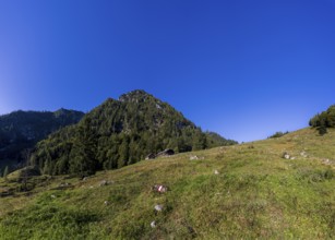 Sonntagskaralm on the way to Rettenkogel, Strobl, Postalm, Osterhorn Group, Salzkammergut, Province