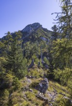 Hikers on the way to Rettenkogel, Postalm, Osterhorn Group, Salzkammergut, Province of Salzburg,