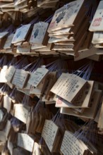 Ema, small wooden tablets with wishes and prayers, hung so that the Kami spirits or gods can