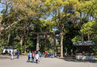 Kitasando Torii Grand Gate, Meiji Jingu Entrance, Meiji Shrine, Shinto Shrine, Yoyogi Park,