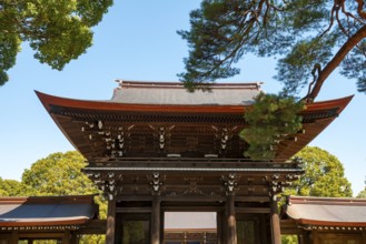 South gate of Meiji Jingu, Meiji Shrine, Shinto Shrine, Yoyogi Park, Shibuya, Tokyo