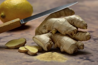 Ginger, ginger root and ginger slices, ginger powder