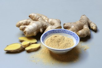 Ginger root and ginger powder in small bowls, Zingiber officinale