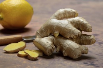 Ginger, ginger root and ginger slices, Zingiber officinale