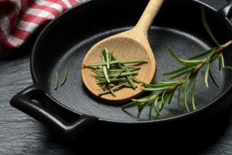 Rosemary, rosemary leaves and rosemary sprig with cooking pot