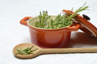 Rosemary, rosemary leaves on cooking spoon with cooking pot, rosemary sprig in pot