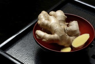 Ginger, ginger root in tea bowl, Zingiber officinale, tea preparation