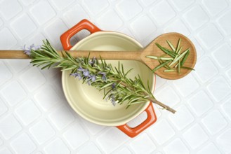 Rosemary, rosemary sprig on cooking spoon with cooking pot