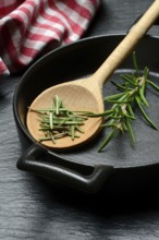 Rosemary, rosemary leaves and rosemary sprig with cooking pot