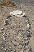 Goldfield, Nevada - Goldfield Historic Cemetery