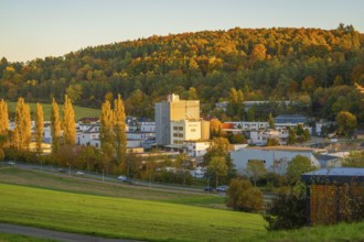 City view with residential buildings and wooded hill in the background in the evening sun,